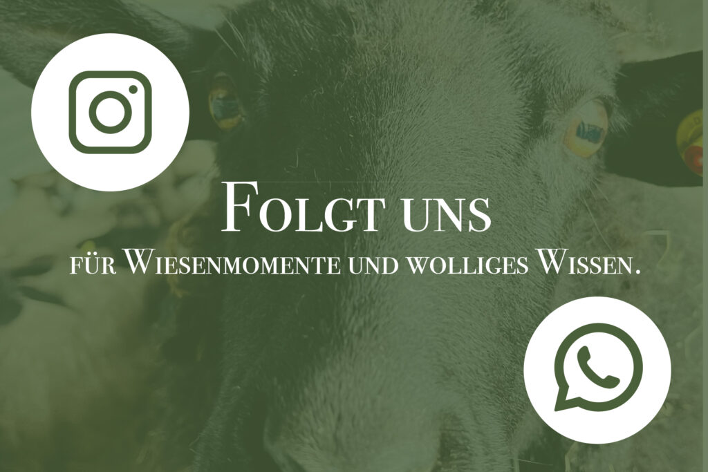 Folgt uns Social Media