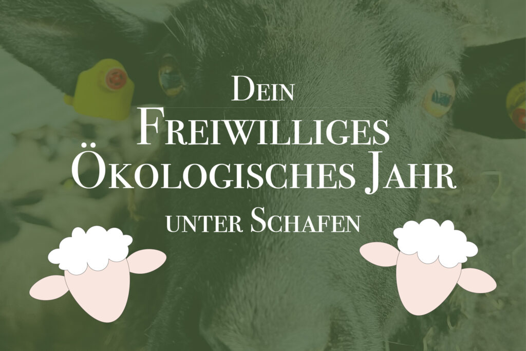 Ökologisches Jahr